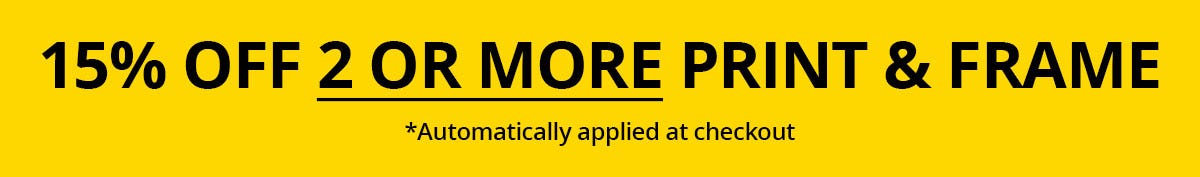 Bulk Print & Frame Discounts