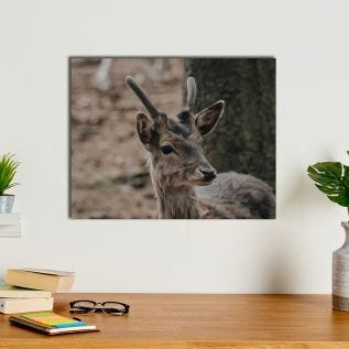 High Gloss Photo Panels