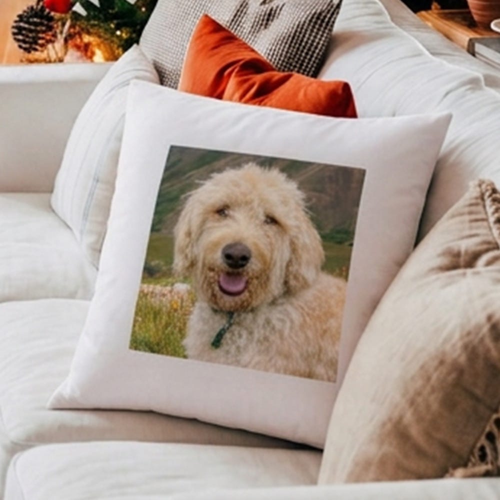 Four photos printed onto a Christmas cushion